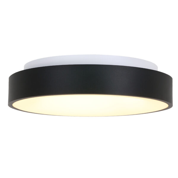 Steinhauer Ceiling and Wall moderne plafondlamp groot - Ø 48 cm - ingebouwd LED - 2800K - zwart - Image 6