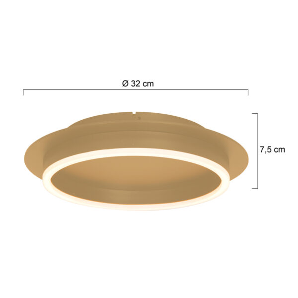 Steinhauer Ringlux plafonnieres – ø 32 cm – Ingebouwd (LED) – goud - Image 6