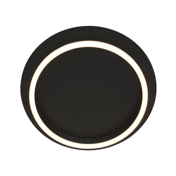 Steinhauer Ringlux plafonnieres – ø 32 cm – Ingebouwd (LED) – zwart - Image 9