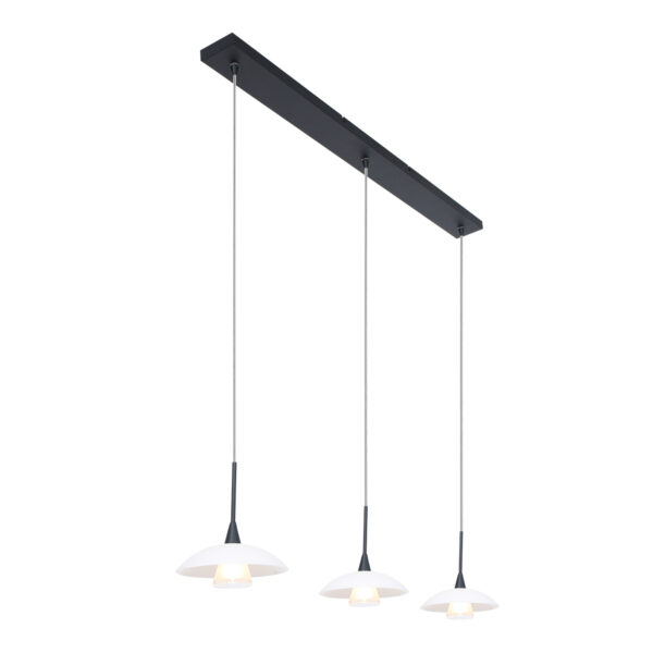 Steinhauer Tallerken hanglamp – In hoogte verstelbaar – G9 – Zwart