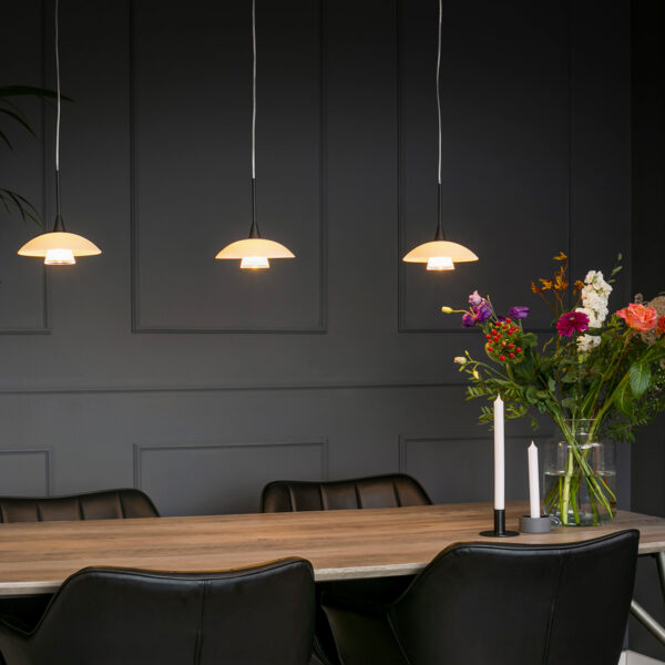 Steinhauer Tallerken hanglamp - inclusief G9 lichtbron - Ø18 cm - glazen witte schotel - zwart - Image 2