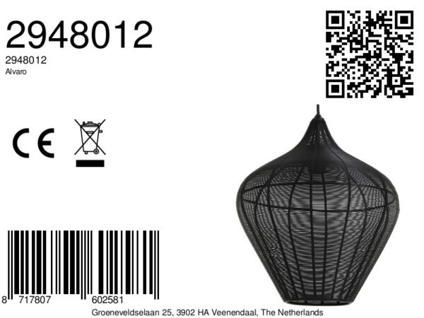 Rustieke zwarte bolvormige hanglamp Light & Living Alvaro - Image 2