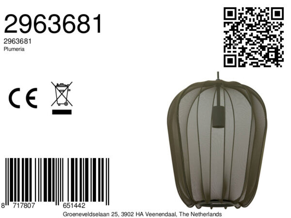 Rustieke groene hanglamp van gaas Light & Living Plumeria - Image 2