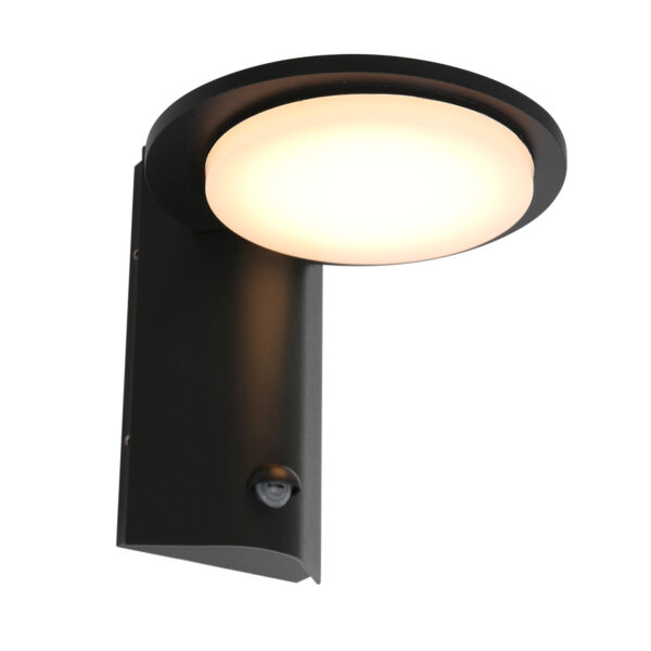 Steinhauer Buitenlampen wandlamp – Ingebouwd (LED) – Zwart