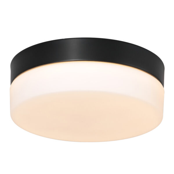 Steinhauer Ikaro plafonniere – ø 30 cm – Ingebouwd (LED) – Zwart