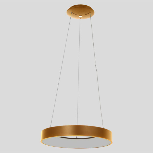 Steinhauer Ringlede hanglamp - ring - ingebouwd LED - ⌀48 cm - goud - Image 10