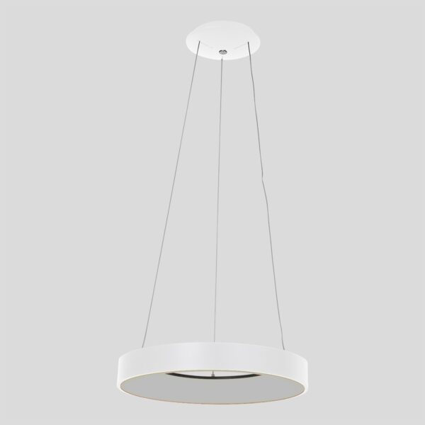 Steinhauer Ringlede hanglamp - ring - ingebouwd LED - ⌀48 cm - wit - Image 12