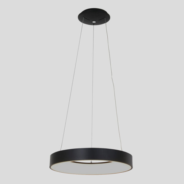 Steinhauer Ringlede hanglamp - ring - ingebouwd LED - ⌀48 cm - zwart - Image 19