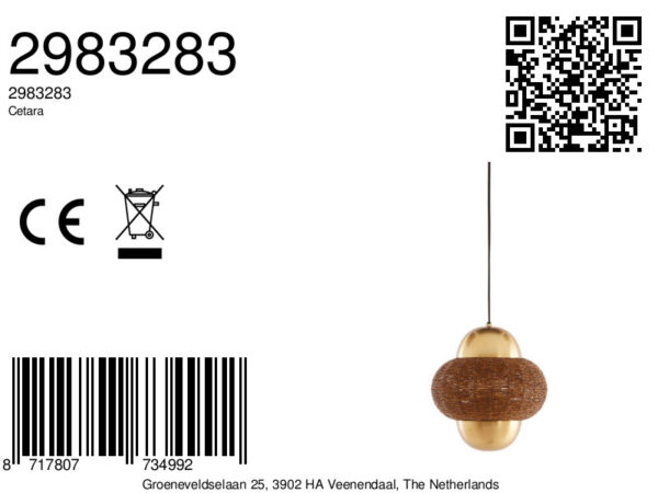 Gouden hanglamp met metalen rotan structuur Light & Living Cetara - Ø 26 cm - Image 8