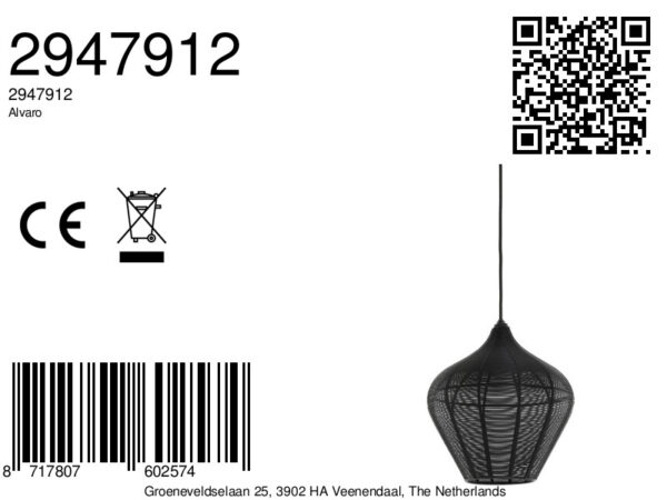 Zwarte draad hanglamp eigentijds Light & Living Alvaro - Ø 27 cm - Image 9