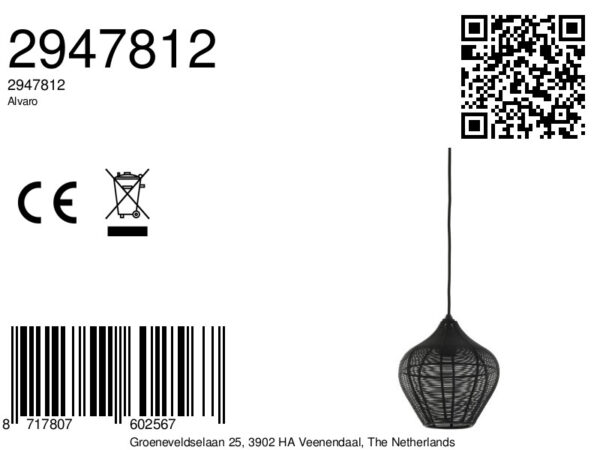 Zwarte draad hanglamp modern Light & Living Alvaro - Ø 20 cm - Image 8