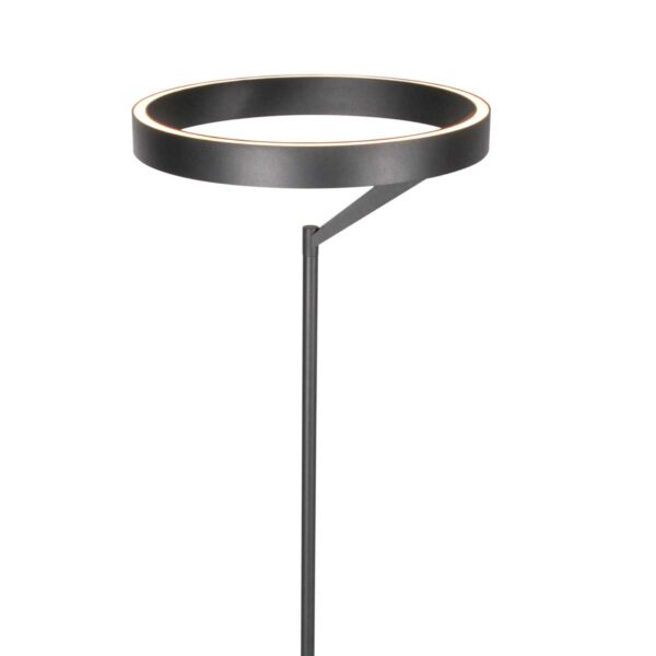 Zwarte design vloerlamp ring uplight Steinhauer Mykty - Image 13