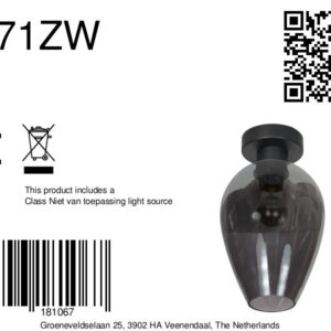 rookglazenplafondlampzwartsteinhauerbloeba-ø22,50-8a
