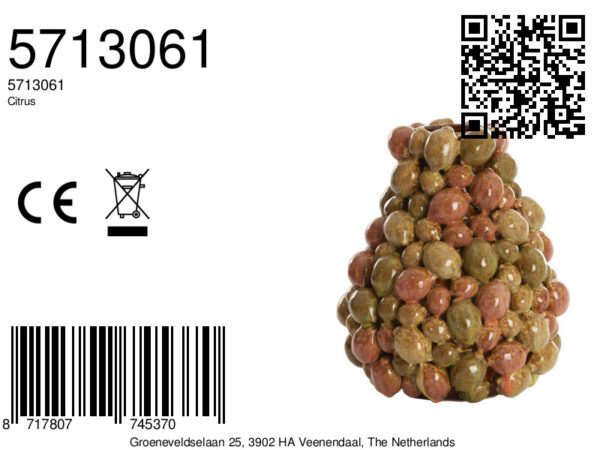 light&livingcitrusvaaskeramiekbruin-oranje+groen–ø23x27cm-8a