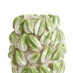 light&livingkeramiekvaascarambolacrèmekleur+groen–32x31,5x36,5cm-1