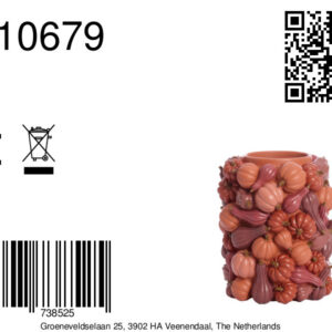 light&livingkleinevaaspumpkinrood–ø27,5x33cm-8a