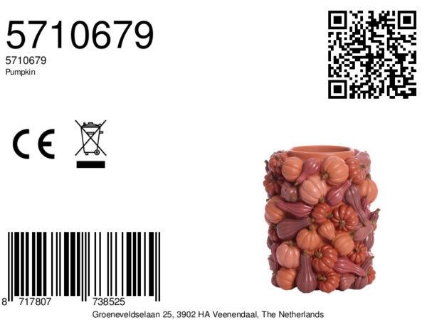 light&livingkleinevaaspumpkinrood–ø27,5x33cm-8a