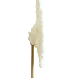 light&livingornamentcoralopvoetincrèmeenantiekbrons–46x20x69cm-1