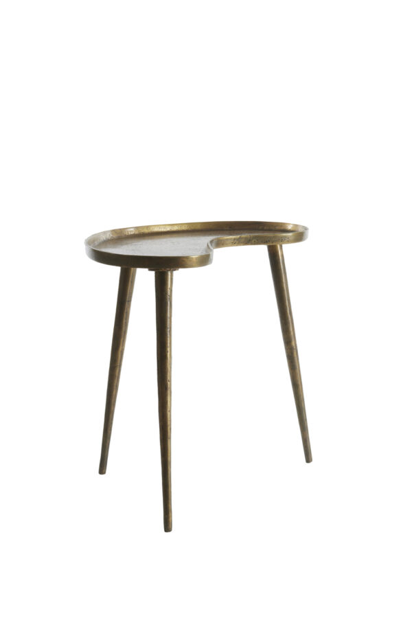 light&livingornamentsaliovanhoutinmatzwart–19x9,5x45cm-1