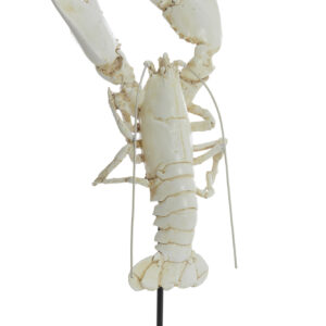 light&livingornamenttoruvvankunststofcrème–22x16x51,5cm-1