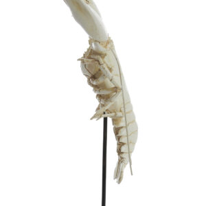 light&livingornamenttoruvvankunststofcrème–22x16x51,5cm-1