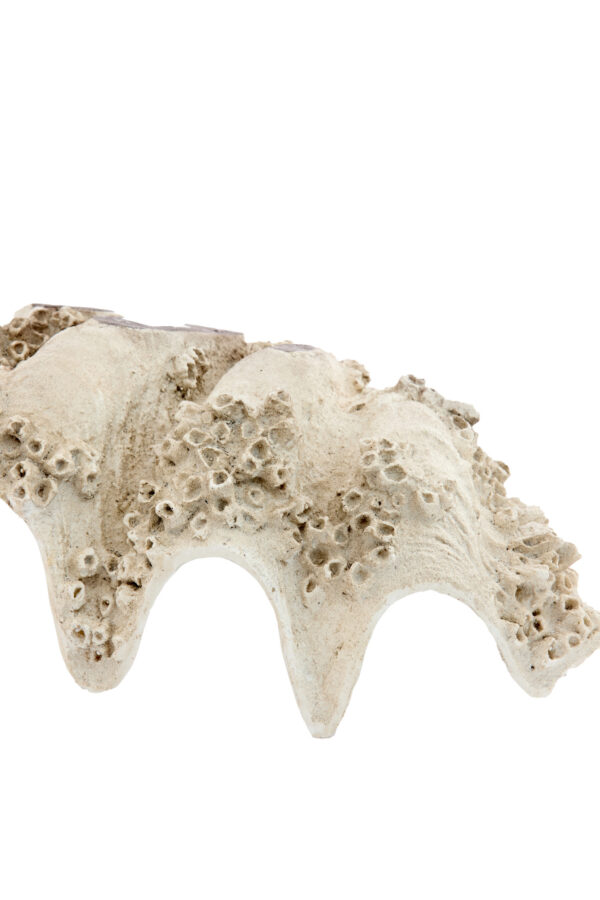 light&livingornamenttoruvvankunststoftaupe–22x16x51,5cm-1