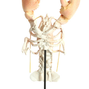 light&livingornamentzennavankunststoftaupe–28x17x41,5cm-1