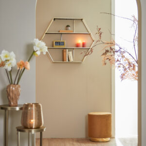 light&livingpoefnadieninvelvetbruinmetgoudaccent–ø40x44cm-1