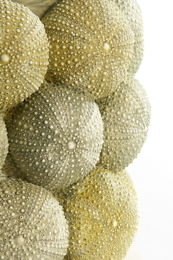 light&livingseaurchinvaasgroen-donkergroen–ø25x40cm-464