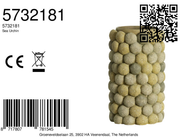 light&livingseaurchinvaasgroen-donkergroen–ø25x40cm-8a