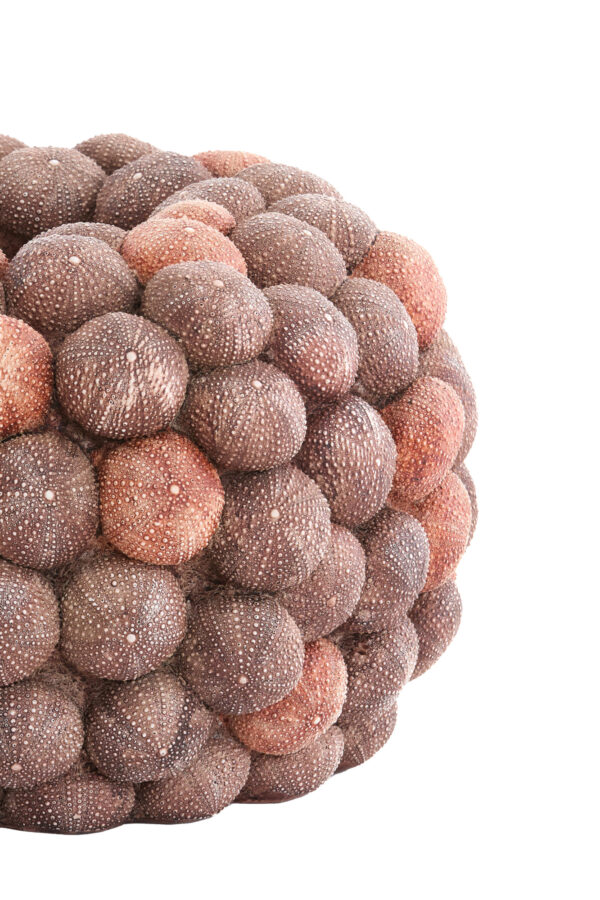 light&livingseaurchinvaasinkoraalroodenbordeaux–ø40x23,5cm-474