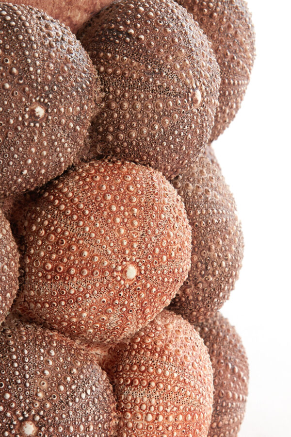 light&livingseaurchinvaaskoraalroodenbordeaux–ø25x40cm-1