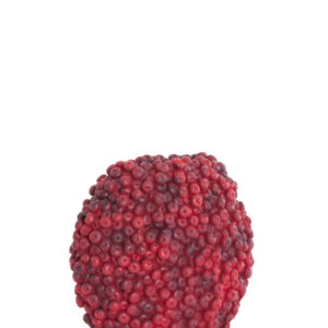 light&livingvaasberriesbordeauxkunststof–32x18x27,5cm-1