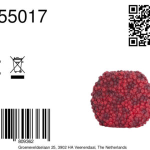 light&livingvaasberriesbordeauxkunststof–32x18x27,5cm-8a