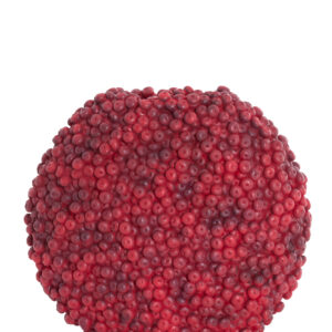 light&livingvaasberrieskunststofbordeaux–44x19x37cm-1