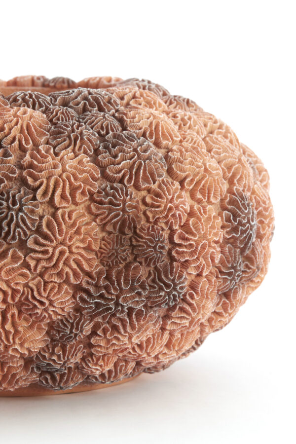 light&livingvaascoralinperzikenlichtbruin–ø47,5x25,5cm-1