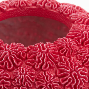 light&livingvaascoralroodkeramiek–ø47,5x25,5cm-9e3