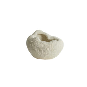 light&livingvaasdenisakunststofcrème–34x28x21cm-204