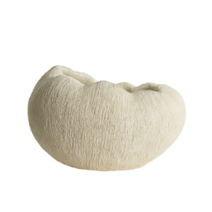 light&livingvaasdenisakunststofcrème–52,5x42,5x34cm-1