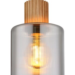 globo-hanglamp-aleidis-zwart-glas-ø12cm-e27-15768-1