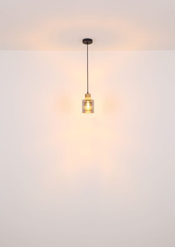 globo-hanglamp-aleidis-zwart-glas-ø12cm-e27-15768-1