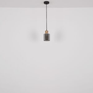 globo-hanglamp-aleidis-zwart-glas-ø12cm-e27-15768-1