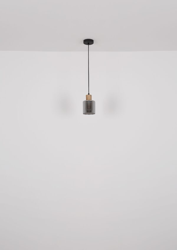 globo-hanglamp-aleidis-zwart-glas-ø12cm-e27-15768-1