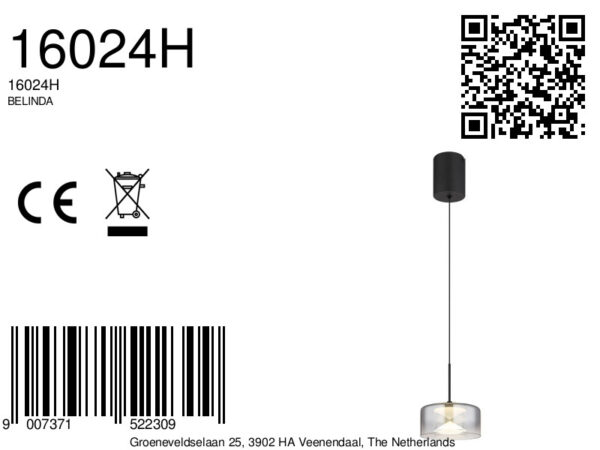 globo-hanglamp-belinda-zwart-glas-ø15cm-led-16024h-8a