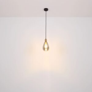 globo-hanglamp-fanni-zwart-glas-ø15cm-e27-15563h-1