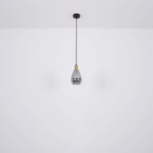 globo-hanglamp-fanni-zwart-glas-ø15cm-e27-15563h-1