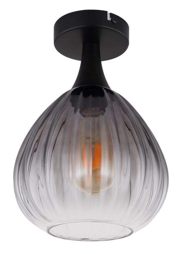 globo-plafonniere-olsen-zwart-glas-ø20cm-e27-15887d-1