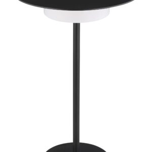globo-tafellamp-kyler-zwart-metaal-ø18cm-led-21024s-1