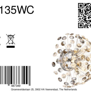 globo-wandlamp-katrina-chroom-glas-ø40cm-g9-64135wc-8a