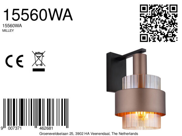 stijlvollewandlampmeteleganteglazenkapmilley-8a